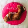 Puff Redondo Mascotas S, 50 x 20 cms, Variedad de Colores. - Imagen 7